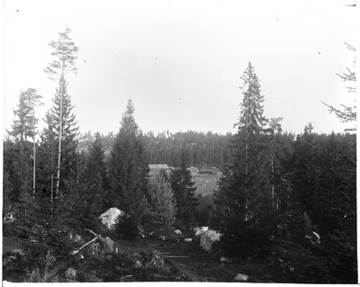 En gård i Sköldinge socken