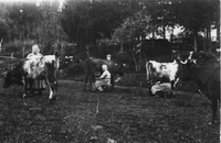 Mjölkning i Tystberga på omkring 1910-talet