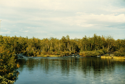 Landskapsbild med tre bäckar, Finland, 1985