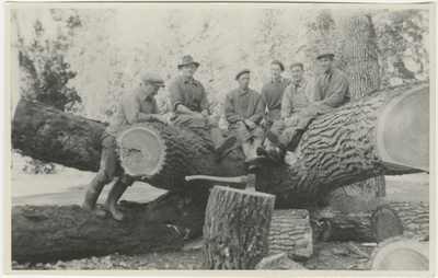 Gruppfoto vid fälld trädstam