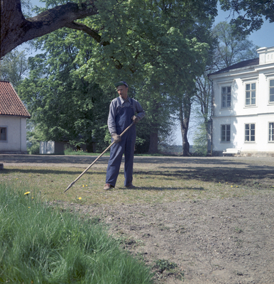 Täckhammar år 1960