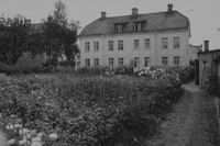 Stadsodling på innergård i Nyköping
