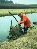 Bror Höglund fiskar nors 1998
