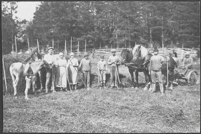 Höbärgning på berg ca 1928