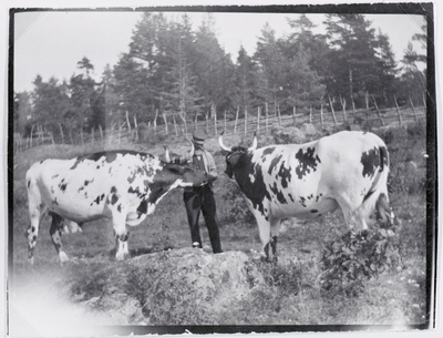 Johan på Ringsö år 1915