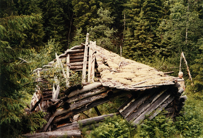 Förfallen hölada, Stormon i Näsåker, 1985
