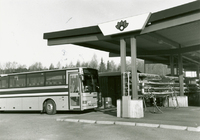 T-Buss skyltar byts ut mot Näckrosbuss