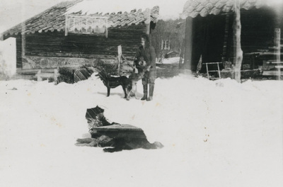 En kvinna och tre hundar i snön på en gårdsplan