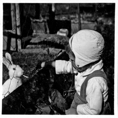 Treåriga Gudrun Eriksson matar kaniner vid Oppeby gård i Nyköping år 1954