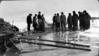 Strömmingsfiske med not på Ålöfjärden, tidigt 1900-tal