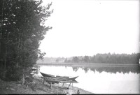 Landskapsbild, eka vid sjön