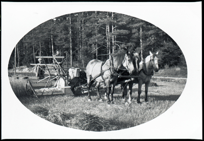 Skörd i Tystberga, 1930-tal