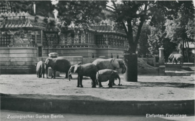 Vykort över Zoologiska trädgården i Berlin