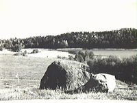 Långviken i Årdala år 1957