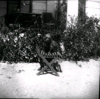 Hund på trädgårdsstol, Ökna säteri i Floda socken