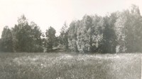Skogsdunge, från albumet 