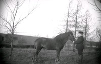 Carl Åkerhielm med en osadlad häst på Ökna, 1890-tal