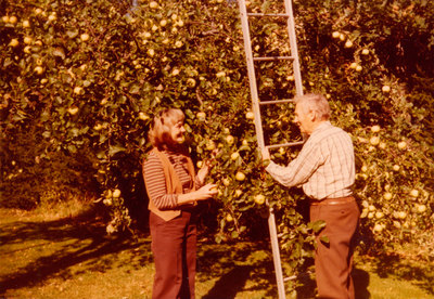 Äppelskörd på Elinshäll år 1979