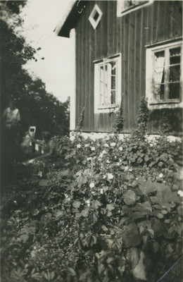 Blomsterrabatt utanför boningshuset, Björktorps gård 1928