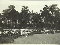 Park med Gruss an Aachen-rosor vid Södermanlands regemente