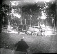 Man på häst och vagn framför gärdsgård