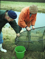 Bror Höglund fiskar nors 1998