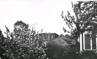 Trädgård i Oxelösund, tidigt 1900-tal