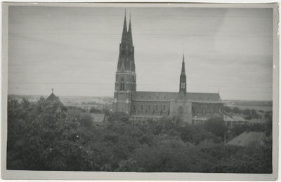 Uppsala domkyrka