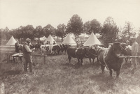 Lantbruksmöte 1914