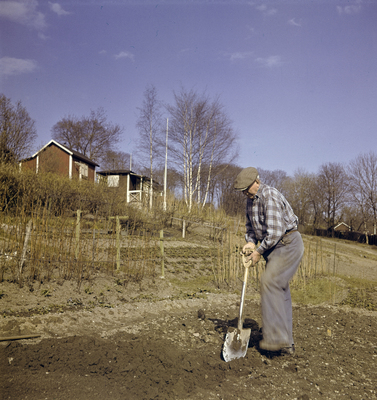 Vid Täckhammar år 1946