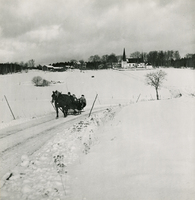 Häst med släde vinter 1952, Ripsa