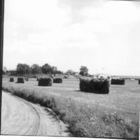 Höhässjor på Brandholmen i Nyköping, cirka 1958-1960