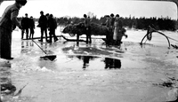 Strömmimgsfiske med not på Ålöfjärden på 1900-talets början