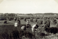 Berga Mellangård i Sättersta 1943