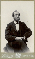 Otto Drake, 1890-tal