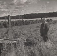 Milstolpe i Bergshammar år 1953