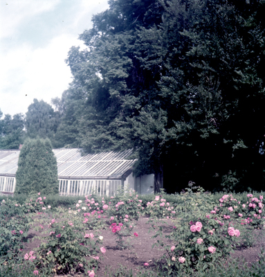 Västhuset år 1946