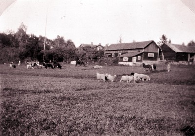 Björktorps gård på Tosterön, Strängnäs