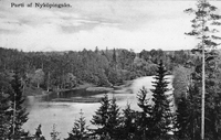 Vykort, parti av Nyköpingsån, tidigt 1900-tal