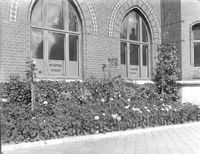 Plantering framför Sparbankshuset i Nyköping, foto år 1919