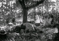 Fyra kvinnor på utflykt i en skogsbacke