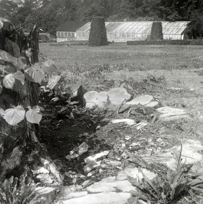 Täckhammar år 1954