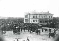Kreatursmarknad i Nyköping, 1890-tal