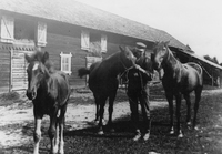 Skomakaren och bonden Gustaf Lundman med hästar på Mosstorp, Västra Vingåker