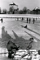 Barn leker vid dammen intill Nyköpingshus.