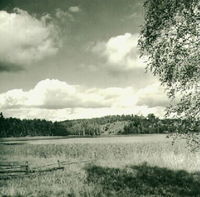 Sjön Björken vid Kroksätter