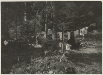 Utflykt till skogen, Solbacka Läroverk, 1931