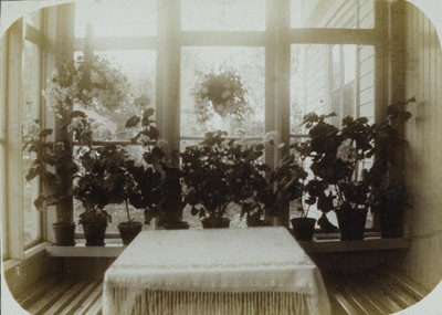 Verandafönster med blommor