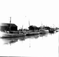 Fiskebåtar i Nyköpings hamn, 1982