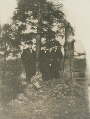 Tre män i skogsparti